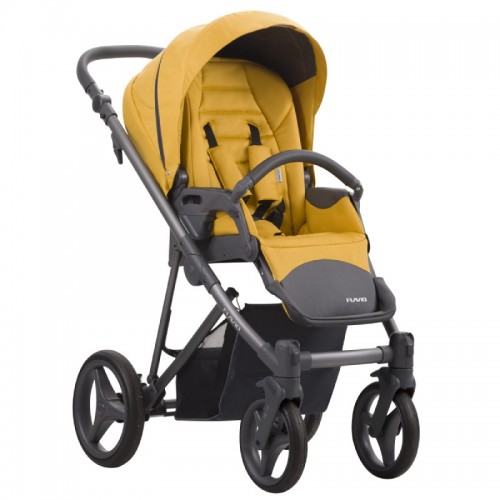 Bebetto Flavio 2 in 1