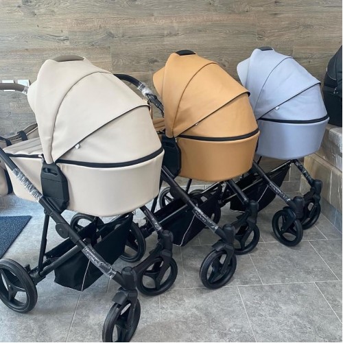 Bebetto Flavio Pro (2 in 1)