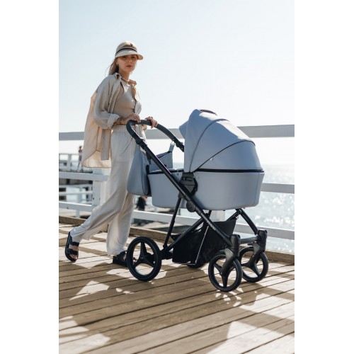 Bebetto Flavio Pro (2 in 1)