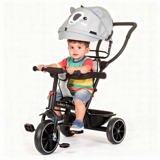 Liberta трицикл PIXEL (2 in 1) grey